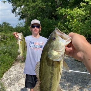 Meet your Posher, Logan